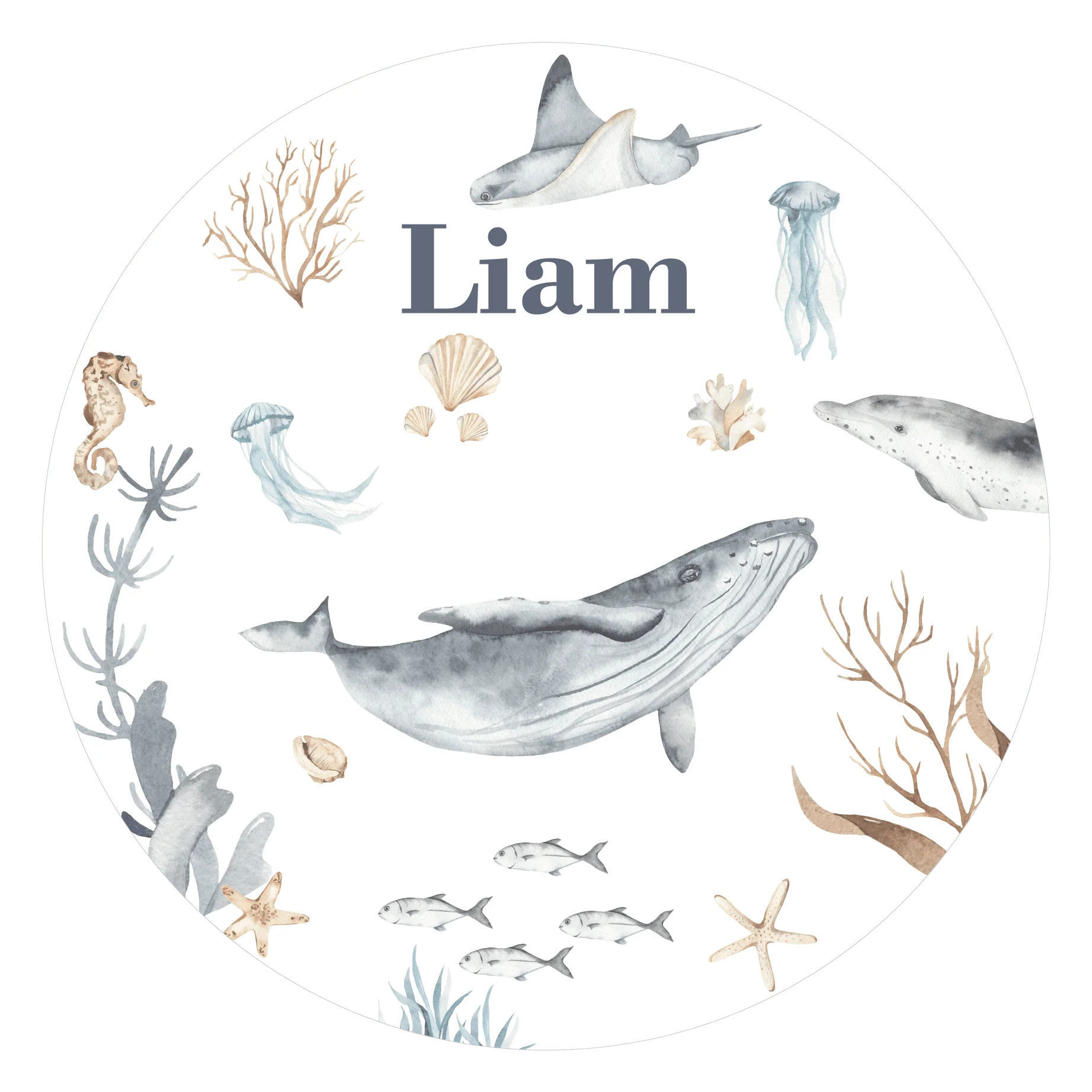 Geboorte raamsticker Onderwater wereld Walvis