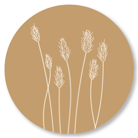 Muurcirkel Dry Flowers Camel
