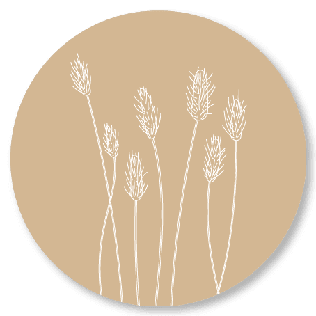 Muurcirkel Dry Flowers Natural